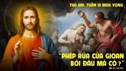 Suy niệm Thứ Hai tuần 3 Mùa Vọng năm C - Lm. Mi Trầm