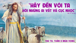 Suy niệm Thứ Tư tuần 2 Mùa Vọng năm C - Lm. Mi Trầm