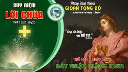 Suy niệm ngày 27 tháng 12 - Lễ Thánh Gioan tông đồ - Lm. Mi Trầm