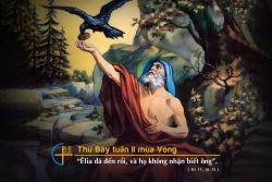 Suy niệm Thứ Bảy tuần 2 Mùa Vọng năm C - Lm. Mi Trầm