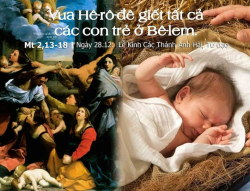 Suy niệm ngày 28 tháng 12 (Lễ kính các thánh anh hài) - Lm. Mi Trầm