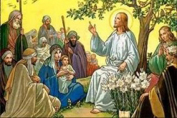 Suy niệm Chúa Nhật VIII thường niên C - Lm. Xuân Hy Vọng