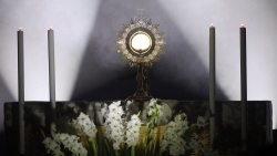 Vatican công nhận phép lạ Thánh Thể đầu tiên tại Ấn Độ