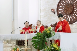 Thánh lễ Tạ ơn 30 năm hồng ân linh mục Giuse Trần Đình Hòa