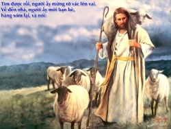 V 2016 CN24TN LosingCoin Lc15 1 10 5