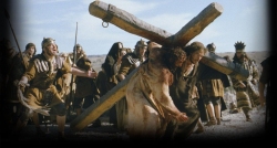 Chịu khổ nạn với Chúa Giê-su  - Suy niệm Lễ các thánh tử đạo