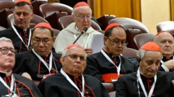 Không được để Phêrô một mình trên thuyền - ĐHY Radcliffe, O.P.