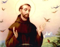 Năm thánh Phanxicô (2026-2027): Các nhà thờ, nhà nguyện Phan Sinh tại Giáo phận Nha Trang nơi nhận lãnh ơn Toàn xá trong Năm thánh.