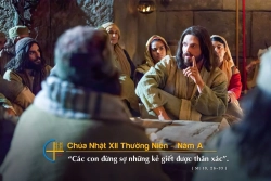 Suy niêm Tin Mừng Chúa Nhật XII thường niên A - Lm GB Phạm Hồng Thái