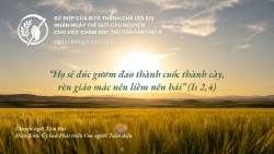 Sứ điệp Đức Thánh cha nhân ngày Thế giới Cầu nguyện cho việc Chăm sóc Thụ tạo năm 2026