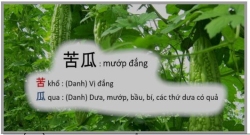 GẪM CHỮ “ĐẮNG”: Từ trái khổ qua đến “chén đắng” của đời người