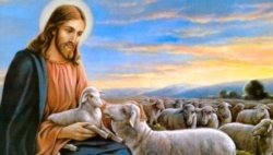 "Ta là cửa chuồng chiên"