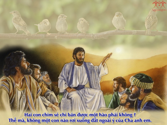 V 2017 CN12TN NotAfraid Mt10 26 33 5