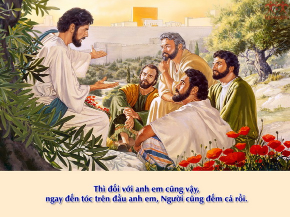 V 2017 CN12TN NotAfraid Mt10 26 33 6