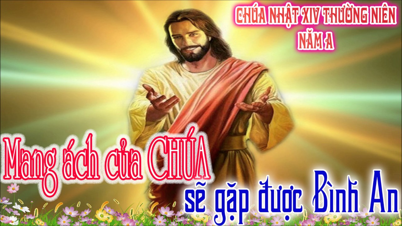 Học hỏi Phúc âm CN XIV TN A (Phần trả lời) - ​​​​​​​Lm Antôn Nguyễn Cao Siêu S.J.