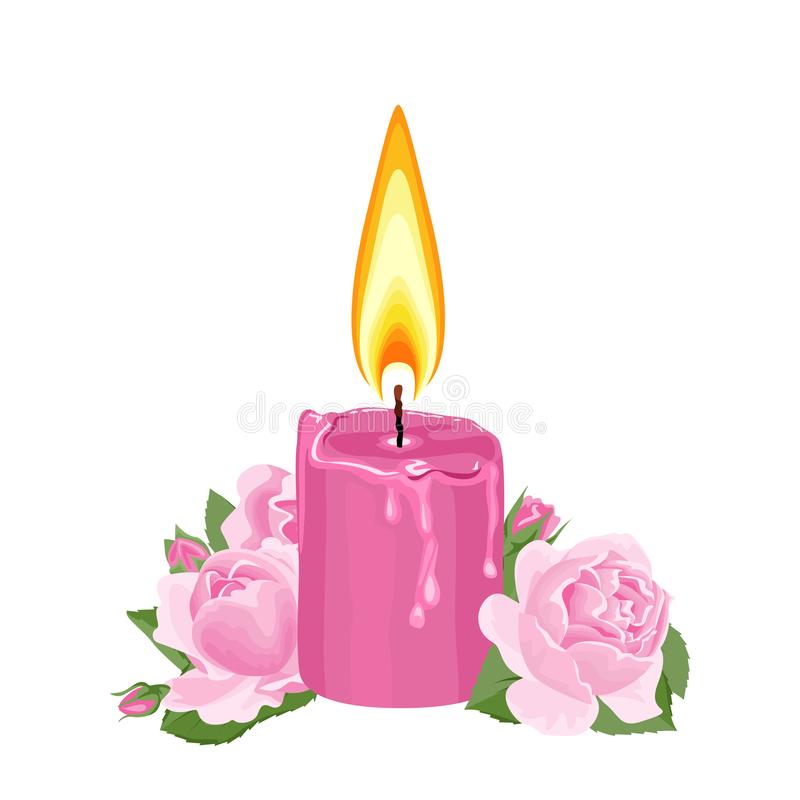 Thánh Kinh bằng hình: Chúa nhật 3 mùa Vọng năm B