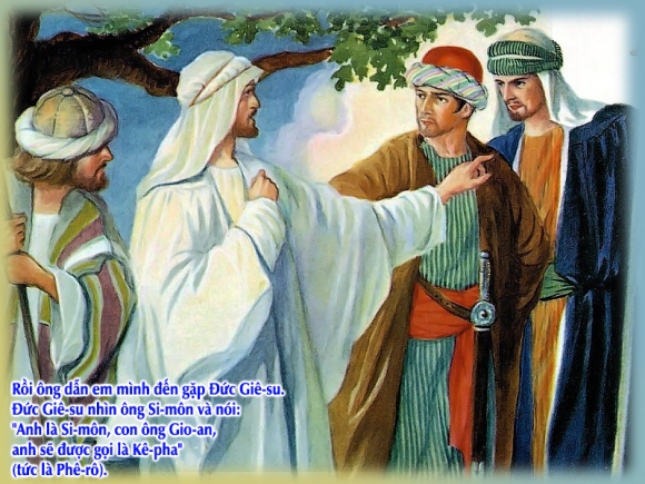 V 2015 CN2TN Ga1 35 42 8