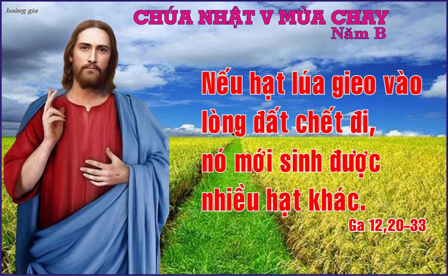Vui học Thánh Kinh Chúa Nhật V Mùa Chay năm B