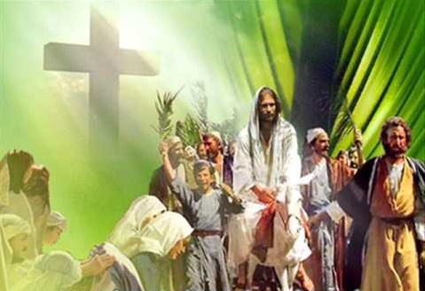 Phụng vụ Lời Chúa: Chúa Nhật Lễ Lá năm B