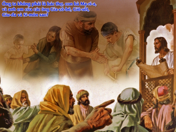 V 2015 SynoNaza CN14TN Mc6 1 6 4