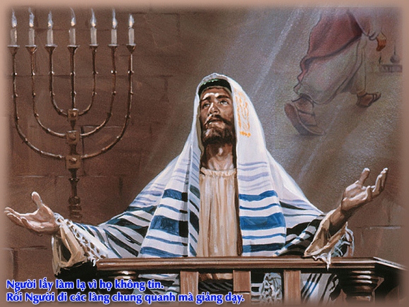 V 2015 SynoNaza CN14TN Mc6 1 6 8