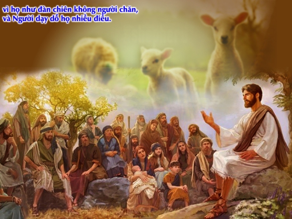 Suy niệm Chúa Nhật XVI Thường Niên năm B - Lm. Xuân Hy Vọng