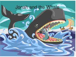 Không phải “một con cá voi” đã nuốt ngôn sứ Giôna vào bụng.