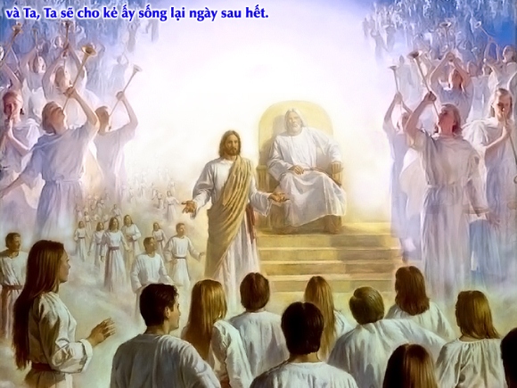 V 2015 CN20TN LivingBread Ga6 51 58 9