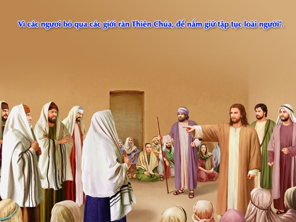 V 2015 CN22TN Mc 7 1 8a 14 15 21 23 11