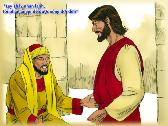 V 2015 CN28TN YRMan Mc10 17 30 2