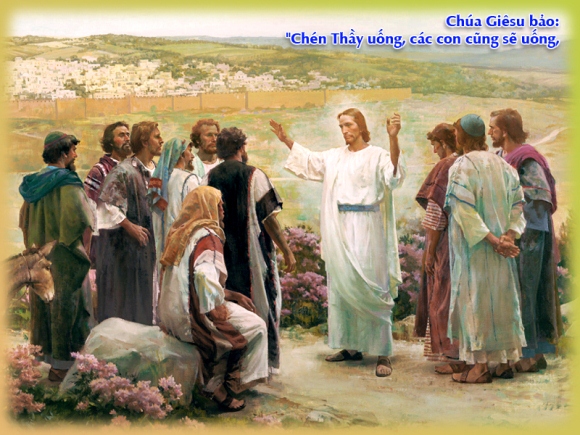 V 2015 CN29TN BeGreat Mc10 35 45 9