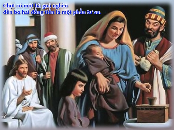 V 2015 CN32TN WidowMite Mc12 38 44 9