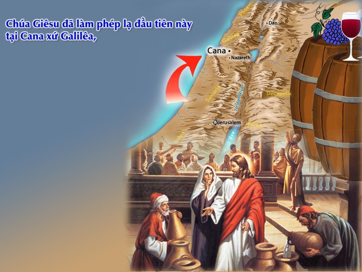 V 2016 CN2TN Cana Ga2 1 11 14(1)