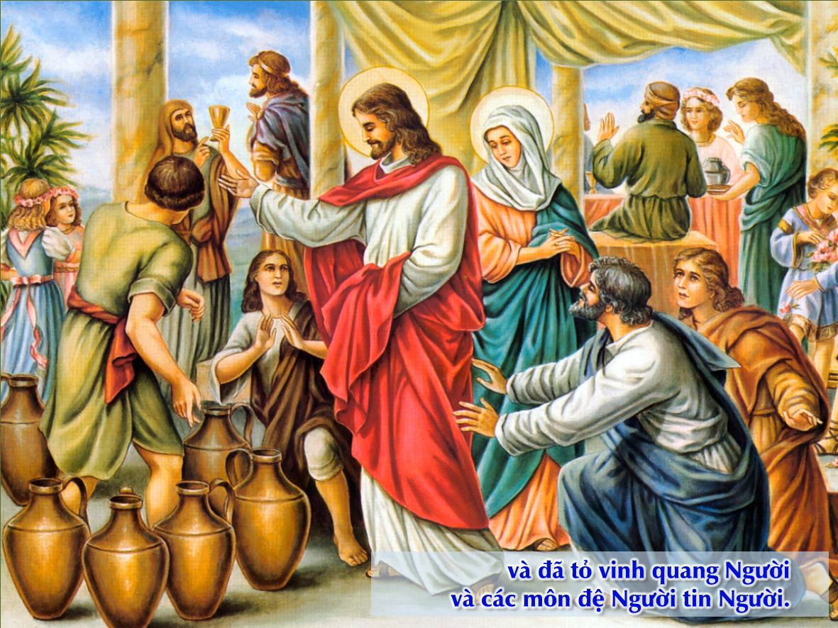 V 2016 CN2TN Cana Ga2 1 11 15(1)