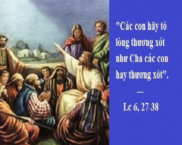 Vui Học Thánh Kinh Chúa Nhật VII Thường Niên C