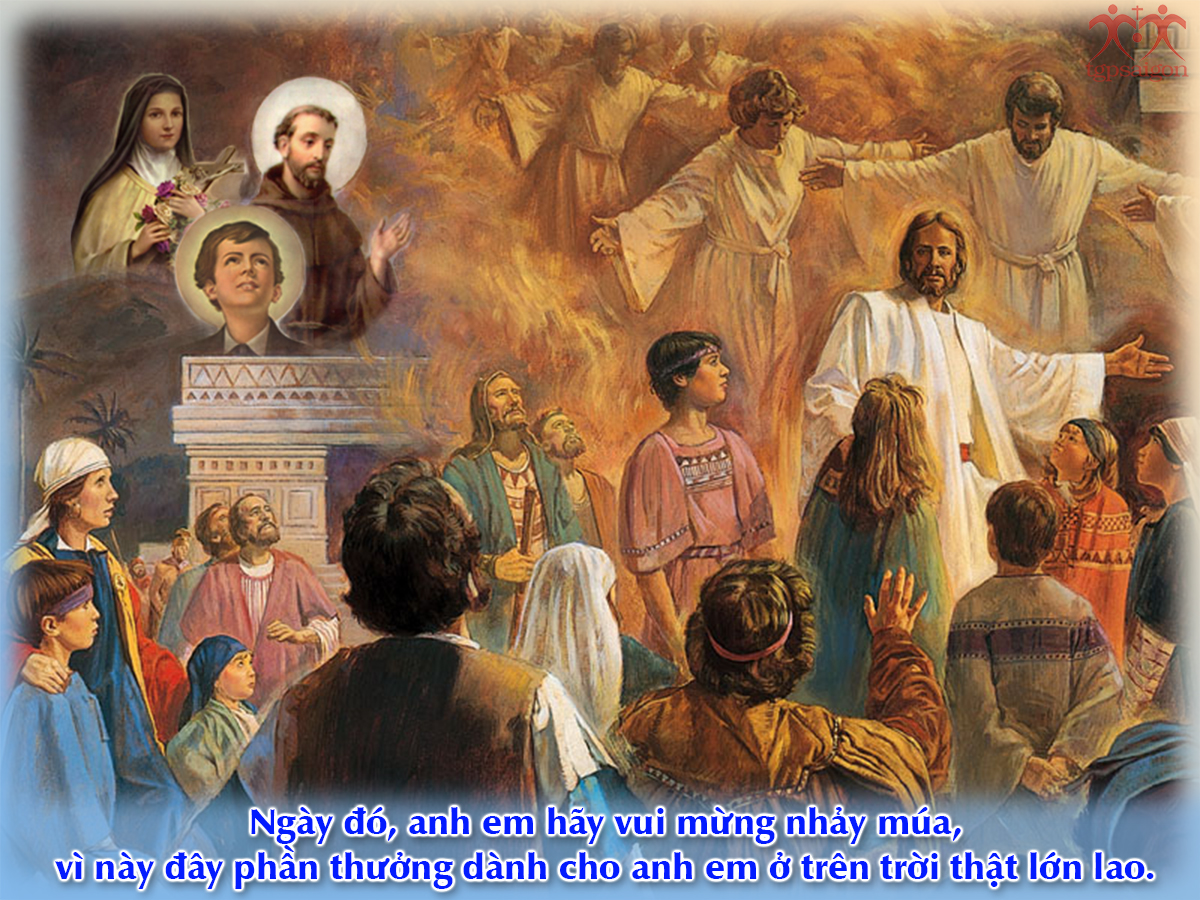 V 2019 CN6TN Beatitude Lc6 17 7