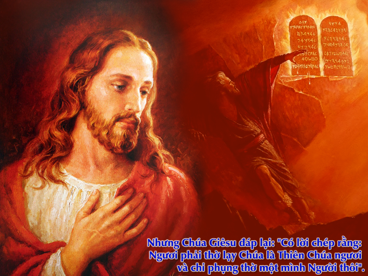 V 2016 CN1MC Temptation Lc4 1 13 9