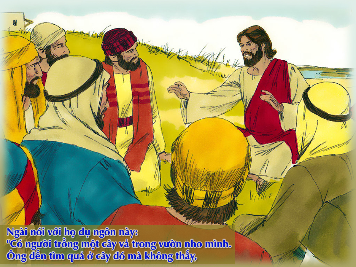 V 2016 CN3MC Figtree3Y Lc13 1 9 6