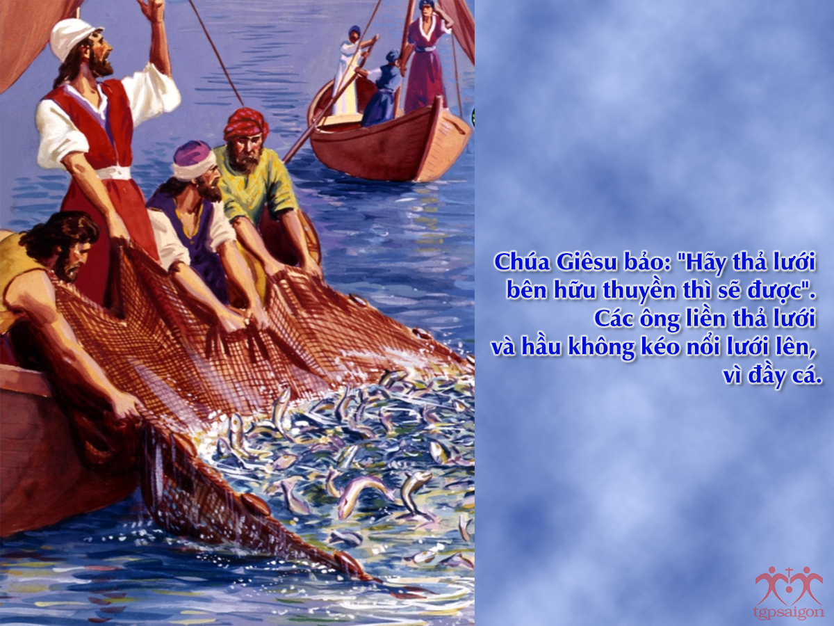 V 2016 CN3PS 3Appear Ga21 1 19 7(1)