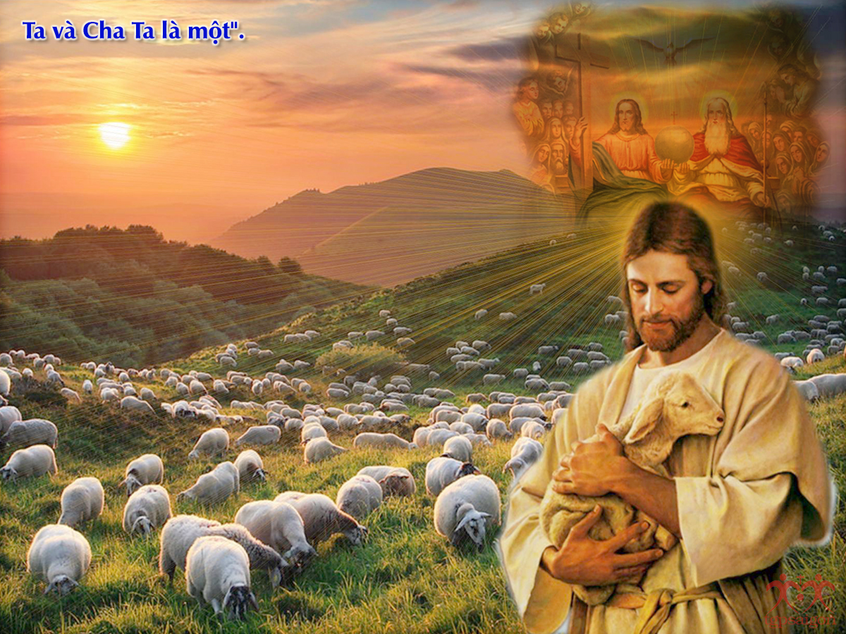 V 2016 CN4PS GoodShepher Ga10 27 30 6(1)