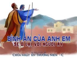 cn14tncc (2)