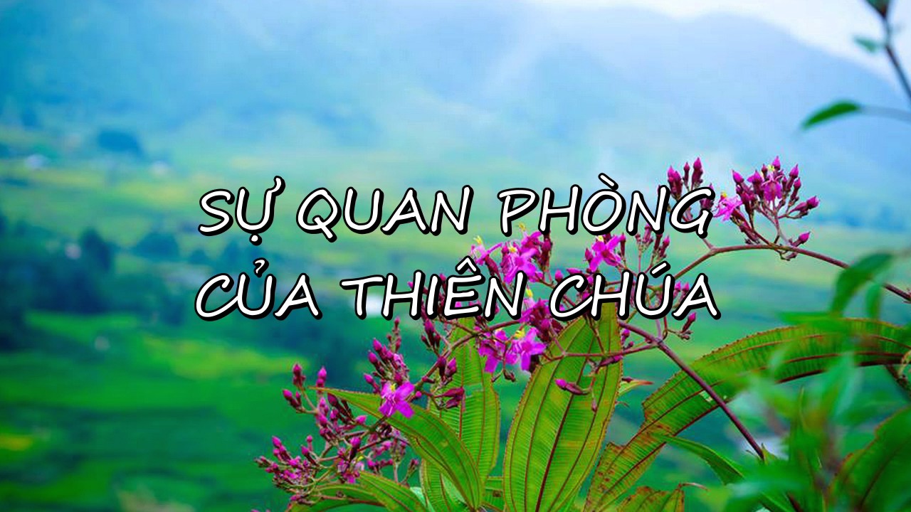 Con người cộng tác vào sự Quan phòng của Thiên Chúa như thế nào?