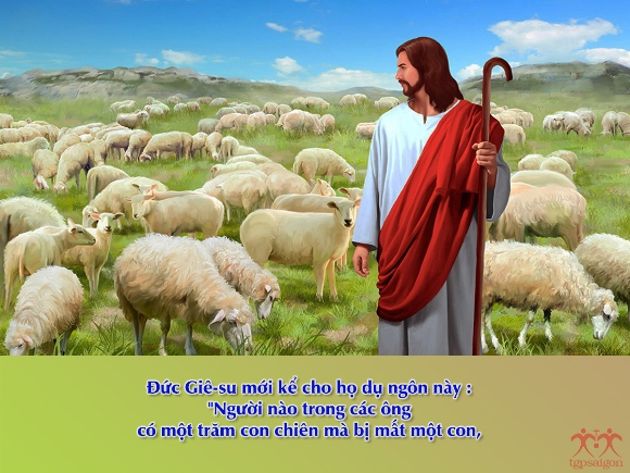 V 2016 CN24TN LosingCoin Lc15 1 10 3