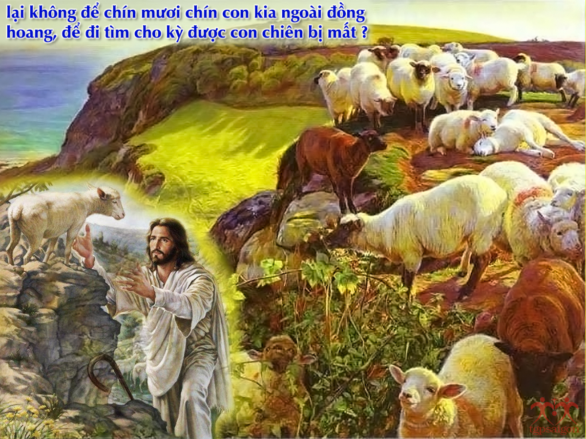 V 2016 CN24TN LosingCoin Lc15 1 10 4