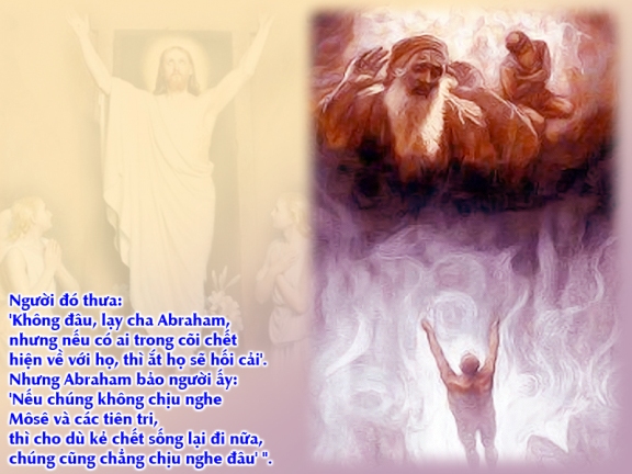 v CN26TN Lc 16, 19 31 8 (1)