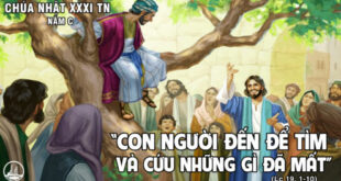 CN XXXI TN 2 495x278 1 310x165