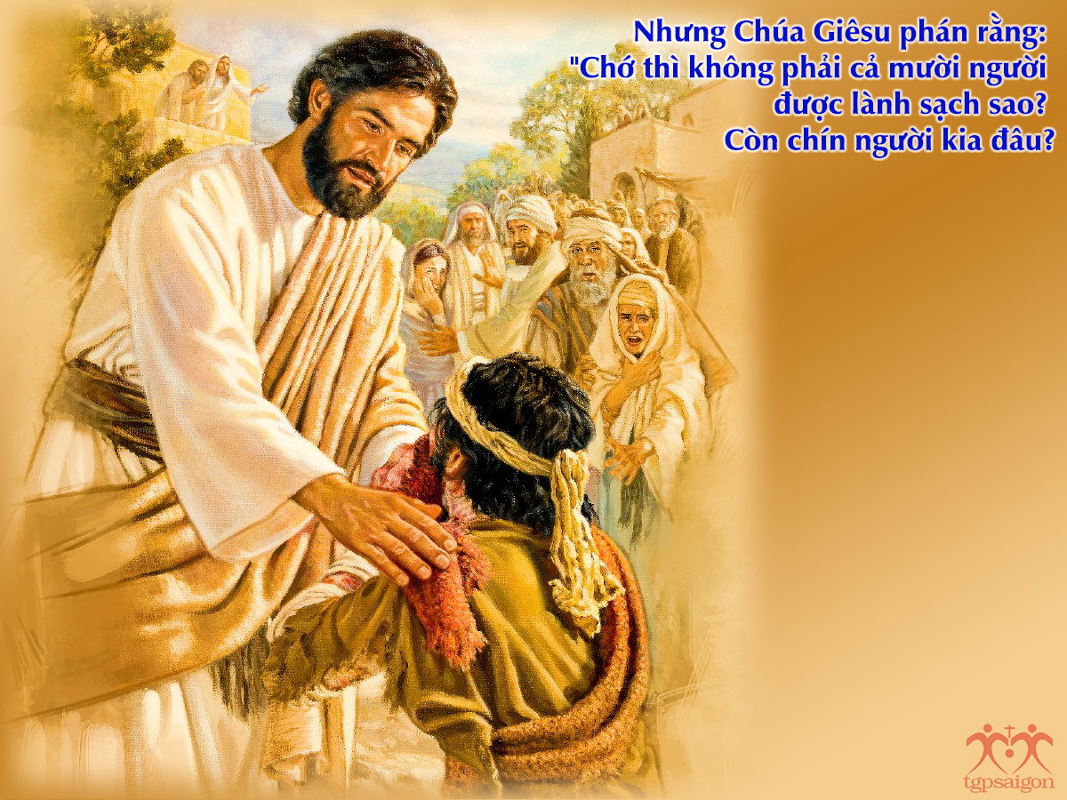 V 2016 CN28TN 10Lepers Lc17 11 19 7