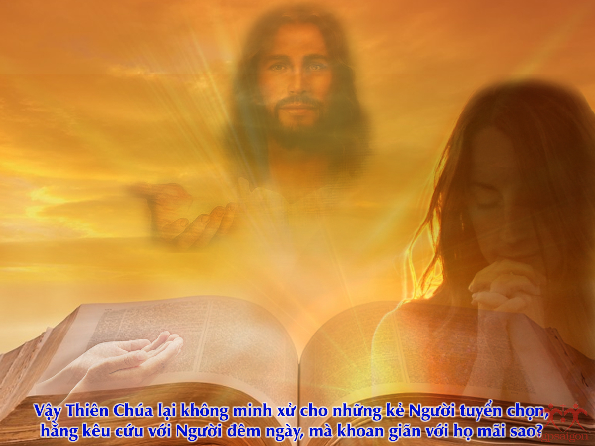 V 2016 CN29TN UnjustJudge Lc18 1 8 8