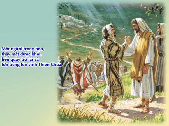 V CN28TN Lc17 11 19 4