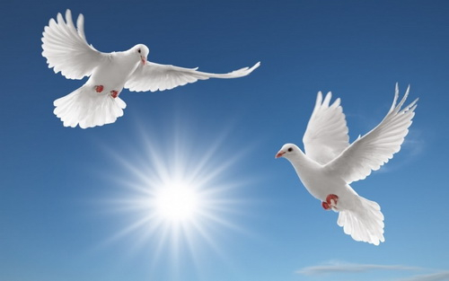 Hòa bình theo Kinh thánh.